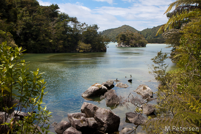 Bark Bay Estuary - Abel Tasman National Park