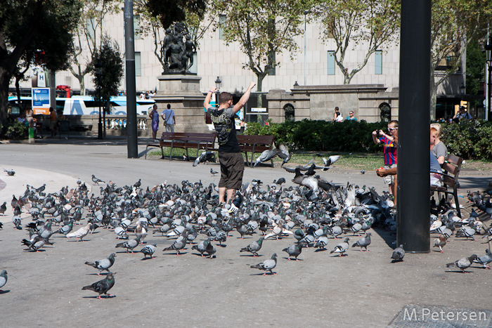 Palça de Catalunya - Barcelona