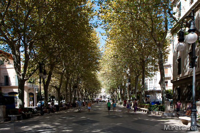 Passeig des Born - Mallorca