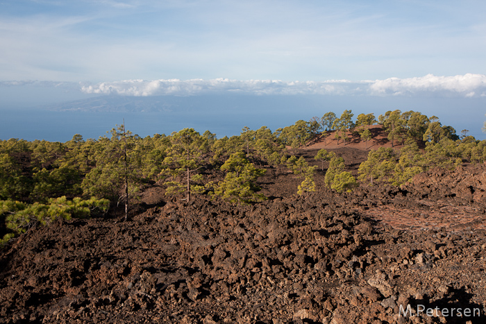 Parque Nacional del Teide