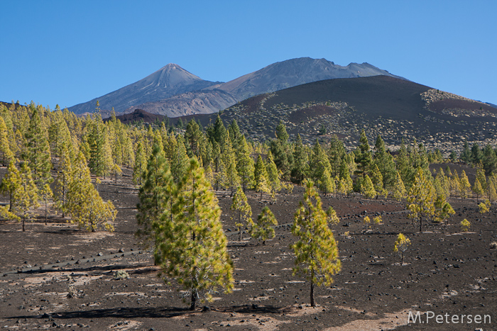 Parque Nacional del Teide