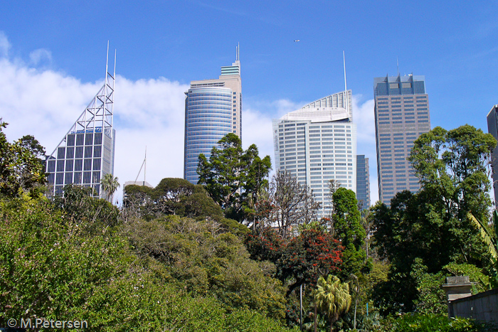 Botanischer Garten - Sydney