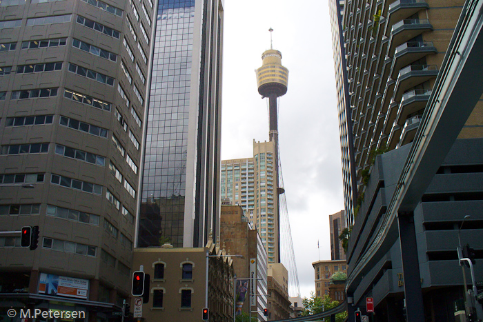 Sydney Tower - Sydney