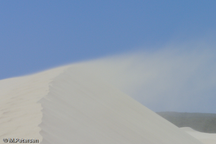 Little Sahara - Kangaroo Island