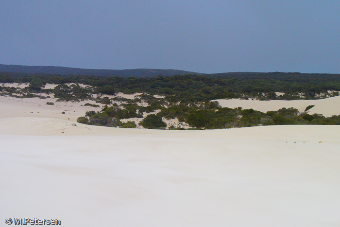 Little Sahara - Kangaroo Island