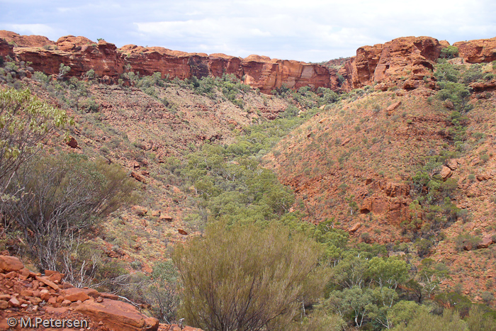 Kings Canyon - Outback