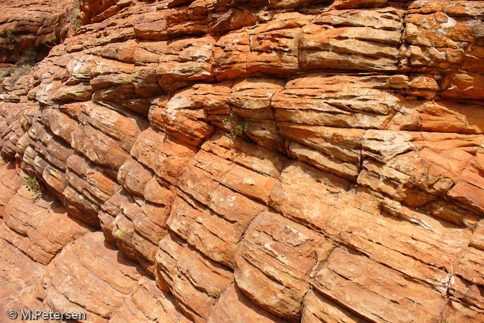 Kings Canyon - Outback