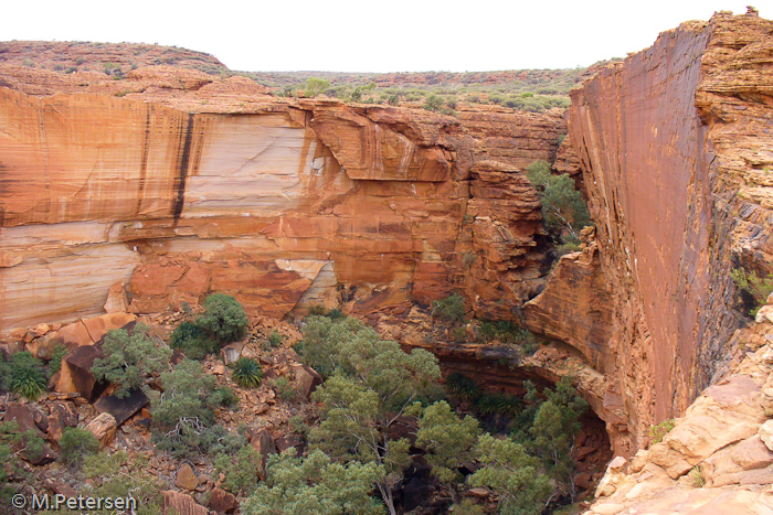 Kings Canyon - Outback