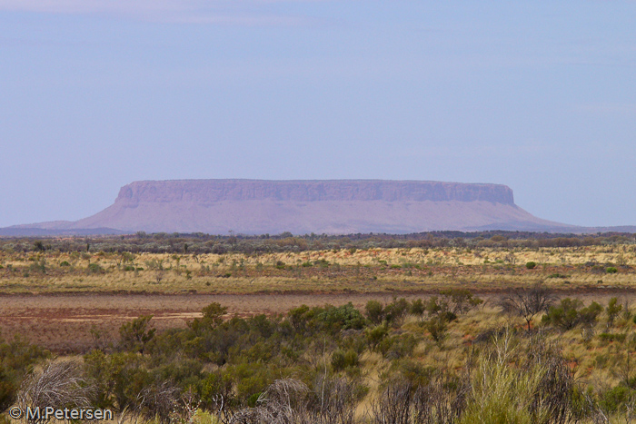 Mt.Conner - Outback