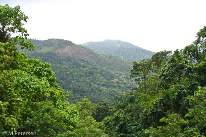 Scenic Railway - Kuranda