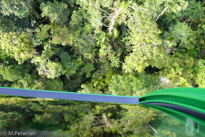 Skyrail - Kuranda