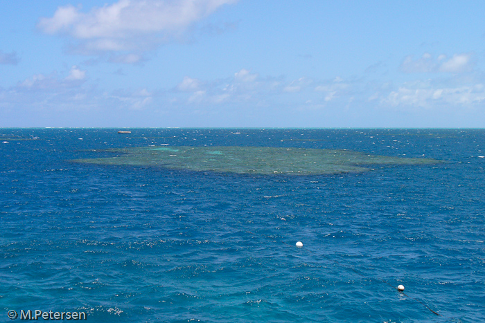 Moore Reef