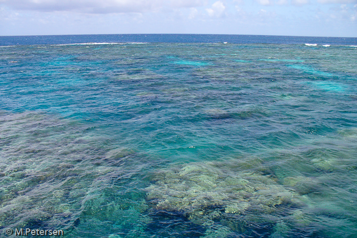 Moore Reef