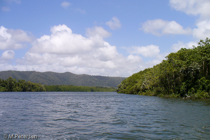 Bootsfahrt auf dem Daintree River