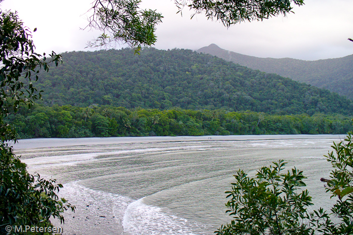 Cape Tribulation Beach