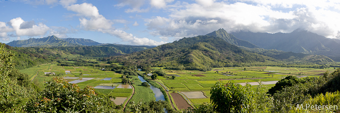 Hanalei Valley - Kauai