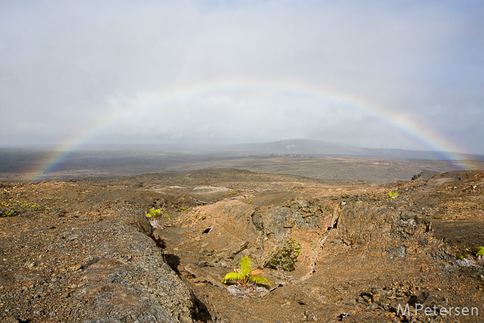 Regenbogen am Mauna Ulu, Volcanoes Nationalpark - Big Island