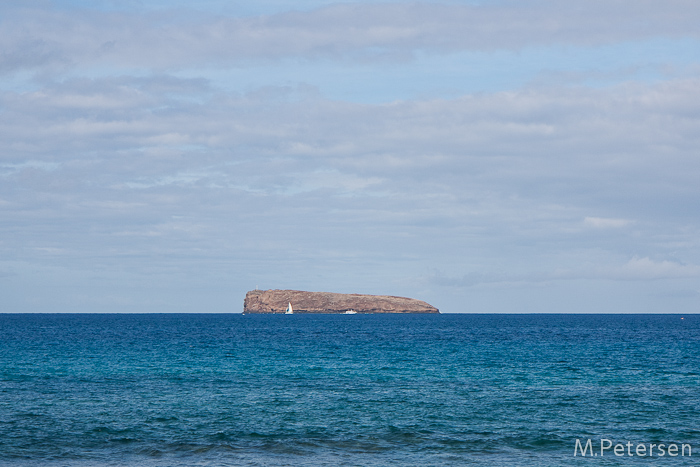 Molokini - Maui