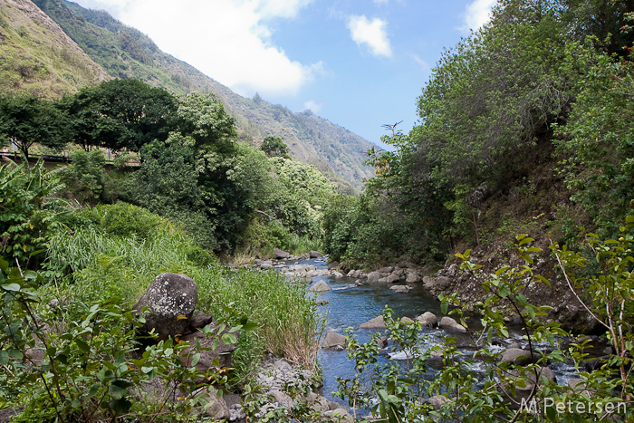 Iao Valley - Maui