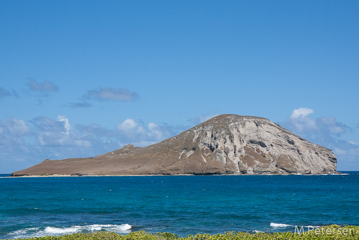 Löwenkopf - Oahu