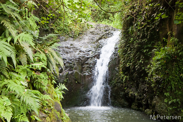  Maunawilli Falls  - Oahu