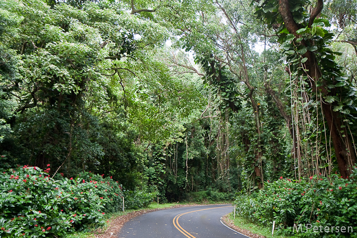 Nupali Drive - Oahu