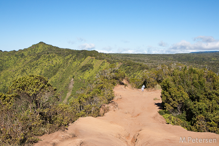 Pihea Trail - Kauai