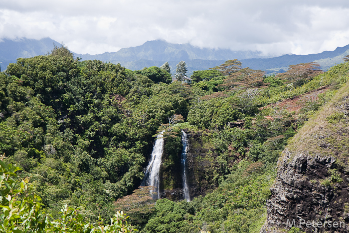 Opaekaa Falls - Kauai