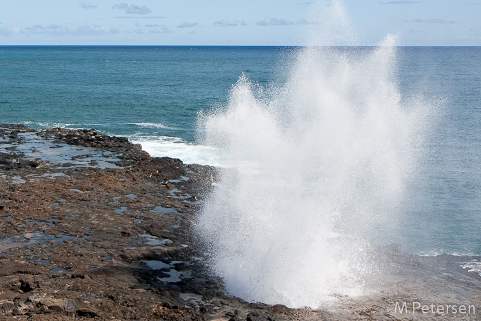 Spouting Horn - Kaiau