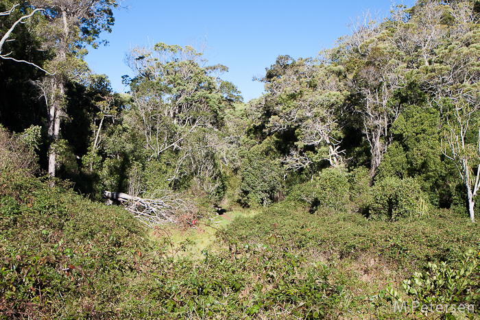 Nualolo Trail - Kauai