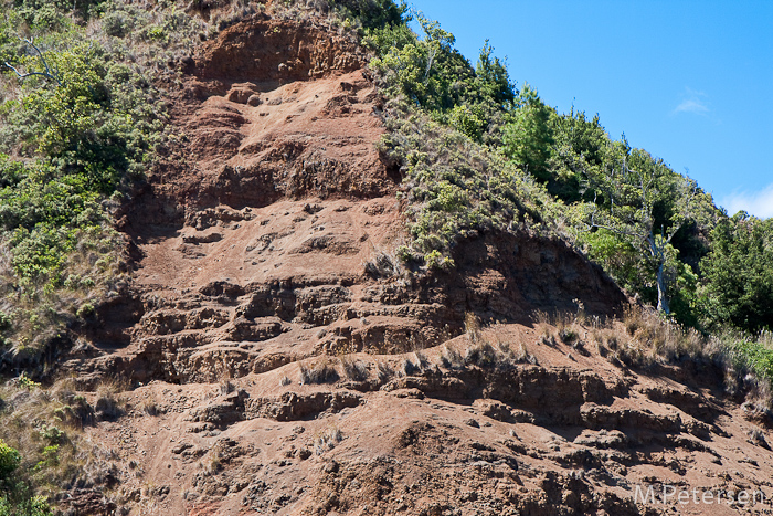 Nualolo Cliff Trail - Kauai