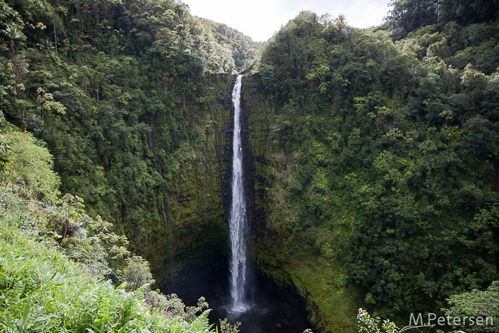 Akaka Falls - Big Island