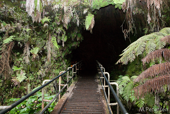 Thurston Lava Tube, Volcanoes Nationalpark - Big Island