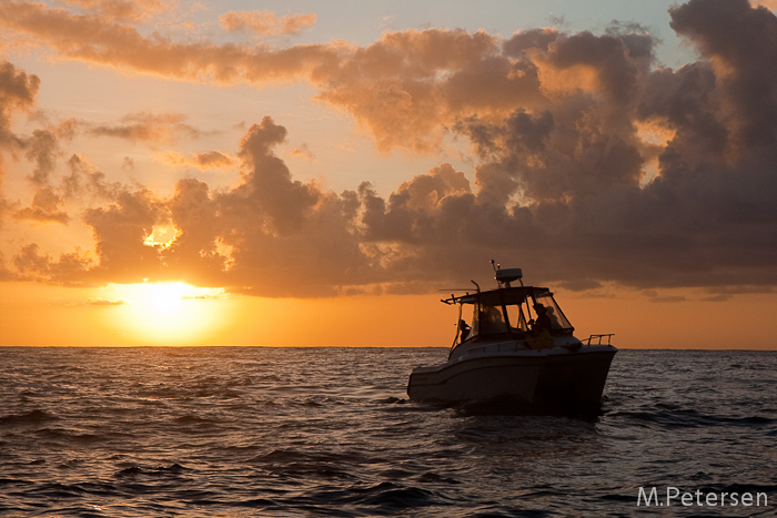 Sonnenaufgang, Lavaboottour - Big Island