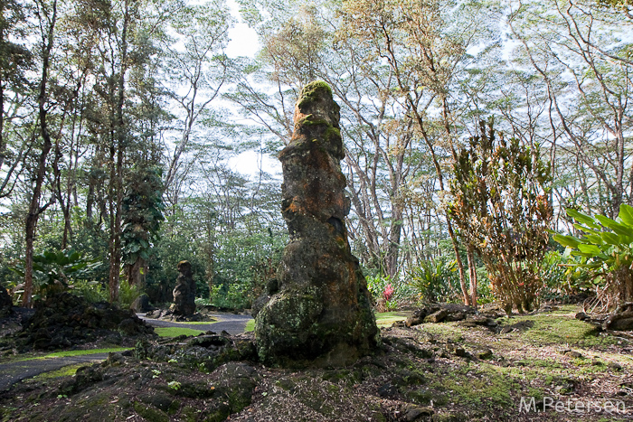 Lava Tree State Monument - Big Island