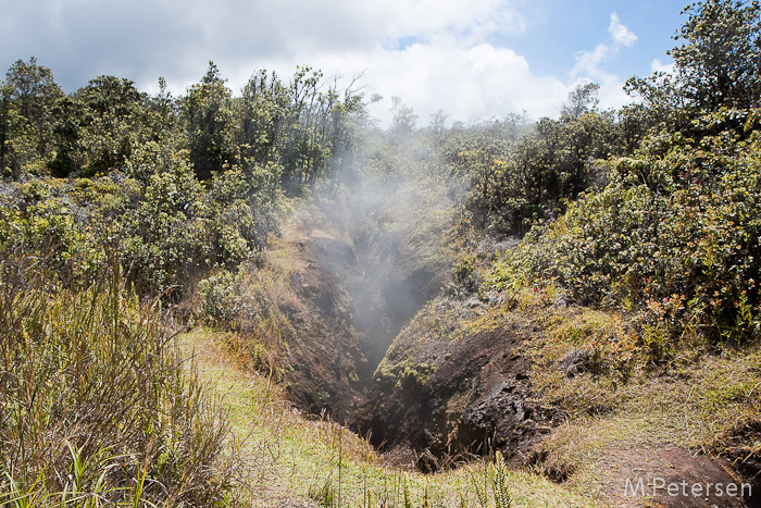 Sulphur Banks Trail, Volcanoes Nationalpark - Big Island