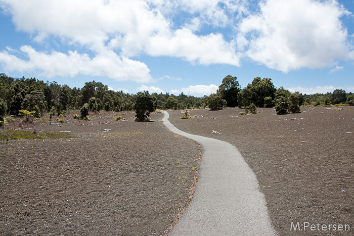 Devestation Trail, Volcanoes Nationalpark - Big Island