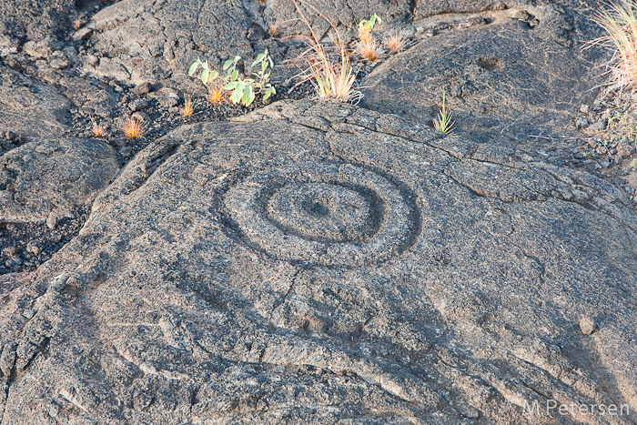 Puu Loa Petroglyphs, Volcanoes Nationalpark - Big Island