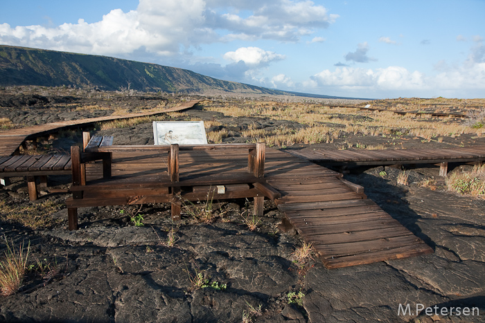 Puu Loa Petroglyphs Trail, Volcanoes Nationalpark - Big Island