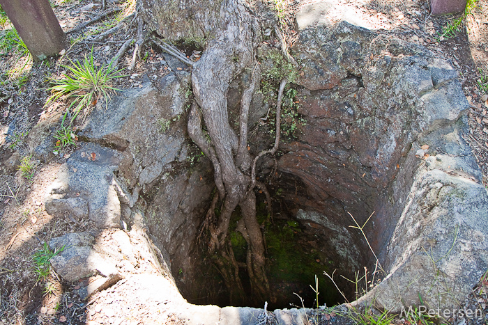 Tree Molds, Volcanoes Nationalpark - Big Island