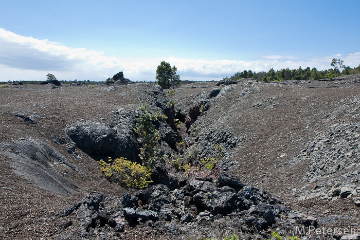 Napau Trail, Volcanoes Nationalpark - Big Island