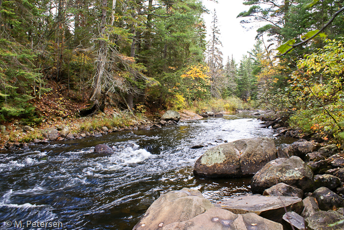 Whiskey Rapids - Algonquin Provincial Park