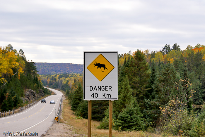 Danger! - Algonquin Provincial Park 