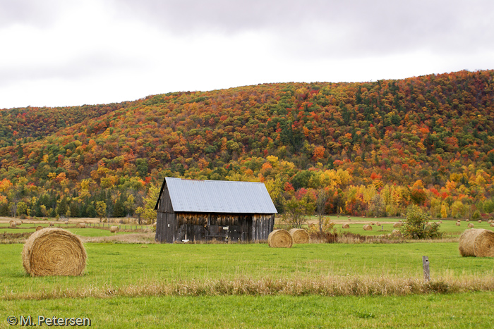 Gatineau Park - Ottawa