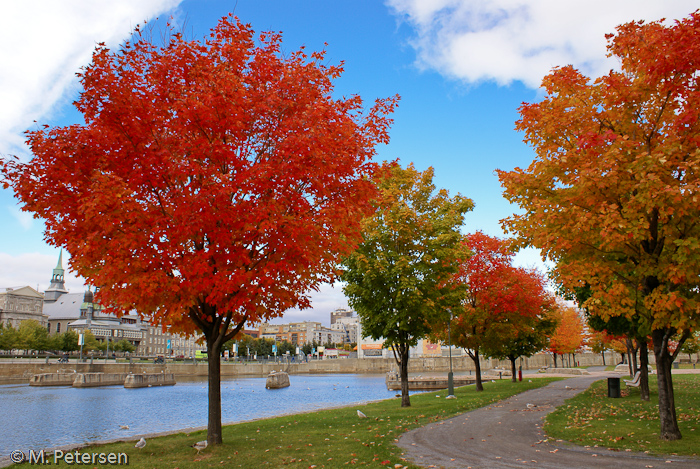 Vieux-Port - Montréal