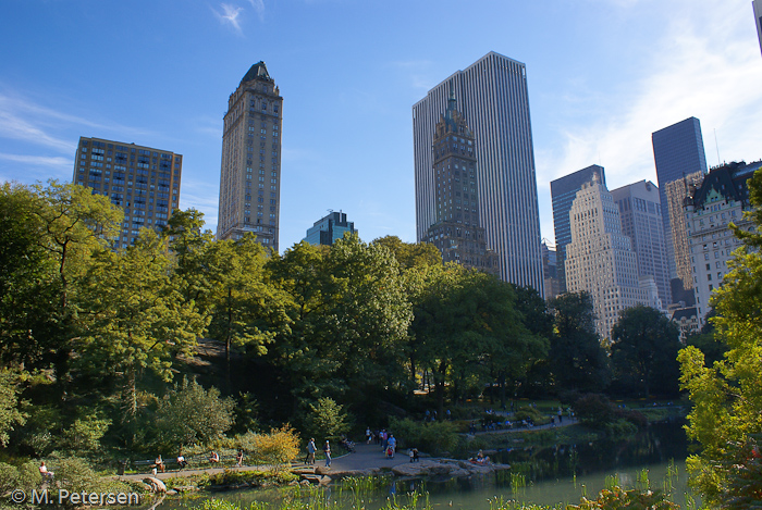 Pond, Central Park - New York