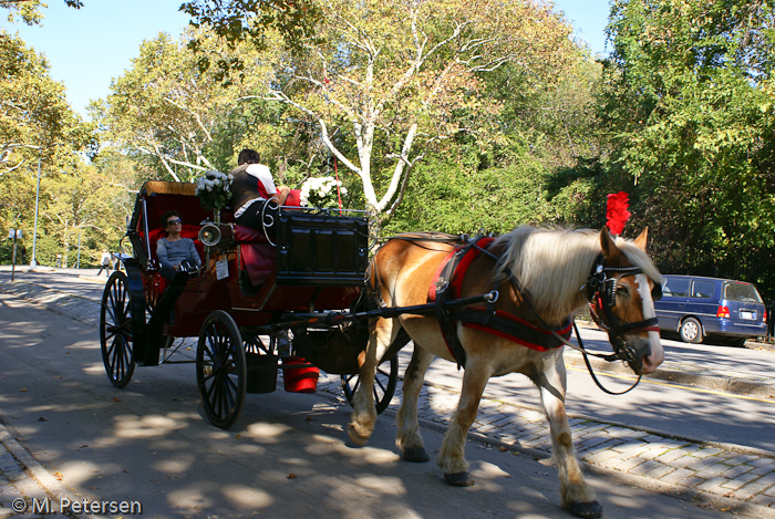 Kutschfahrt, Central Park - New York