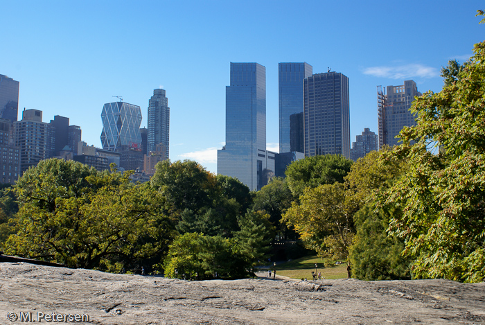 Cat Rock, Central Park - New York