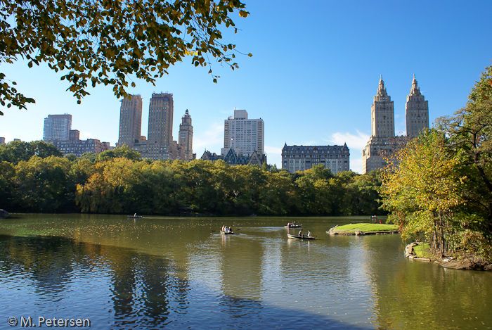 Central Park - New York