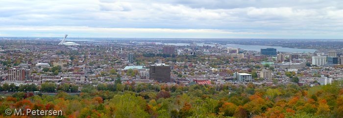 Blick vom Camillien-Houde Lookout - Montréal